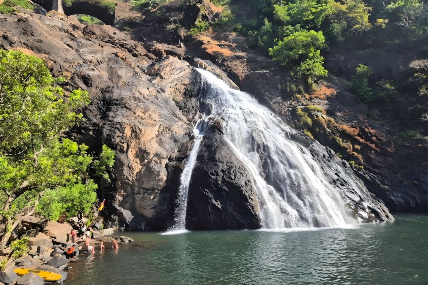 Bhagwan Mahavir Wildlife Sanctuary 1