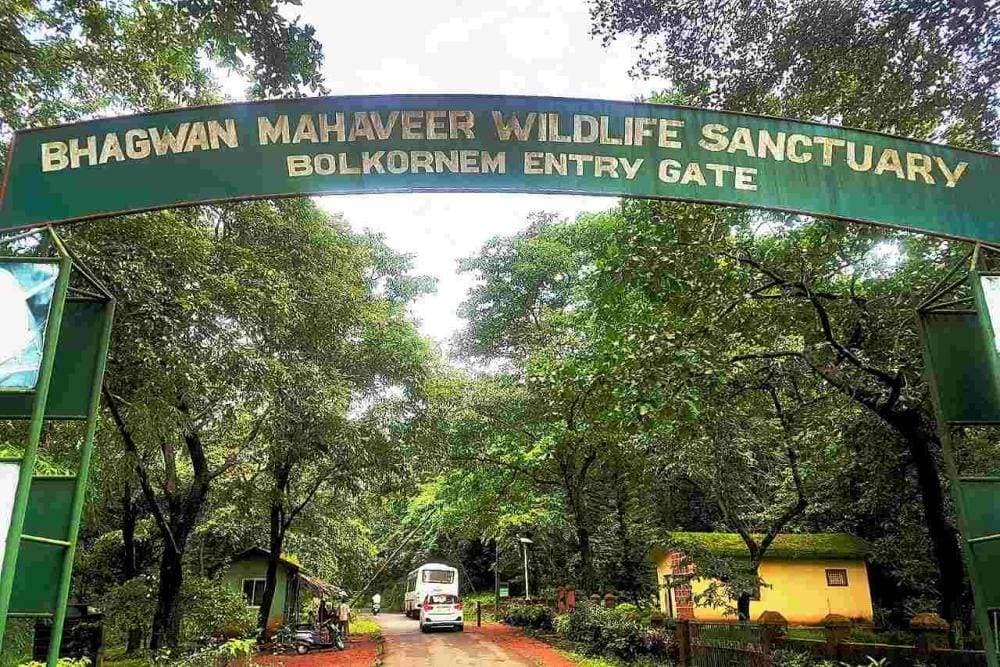 Bhagwan Mahavir Wildlife Sanctuary 2